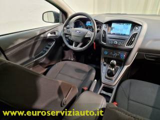 FORD Focus usata, con Cruise Control