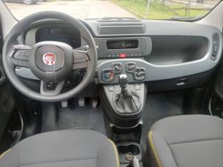 FIAT Panda usata, con Controllo trazione