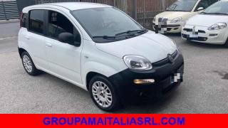 FIAT Panda usata, con Airbag Passeggero