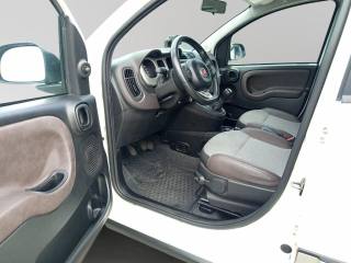 FIAT Panda Cross usata, con Fendinebbia