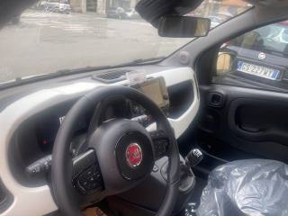 FIAT Panda usata, con Servosterzo