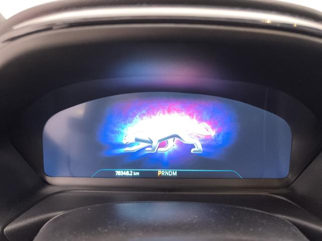 FORD Puma usata, con Fendinebbia