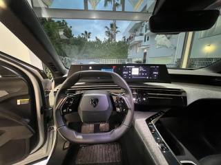 PEUGEOT 3008 usata, con Luce d