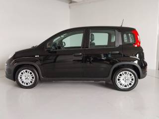 FIAT Panda usata, con Alzacristalli elettrici