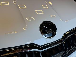 SKODA Karoq usata, con Chiusura centralizzata