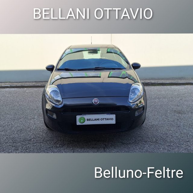 FIAT Punto usata, con Airbag