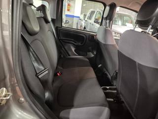 FIAT Panda usata 17