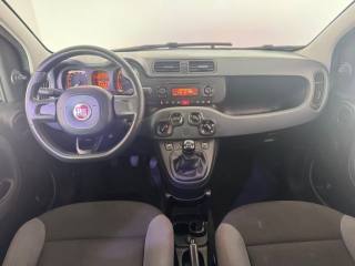 FIAT Panda usata 11