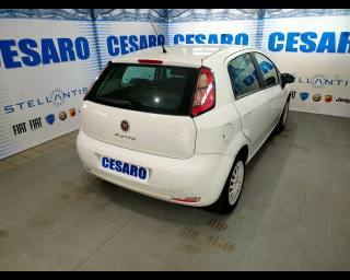 FIAT Punto usata, con Airbag Passeggero