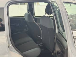 FIAT Panda usata 23
