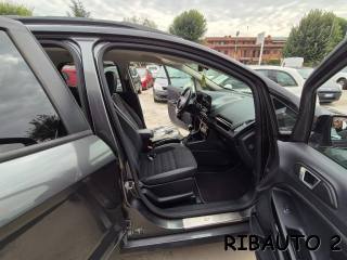 FORD EcoSport usata, con Cronologia tagliandi