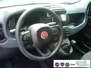 FIAT Panda usata, con Sensori di parcheggio posteriori