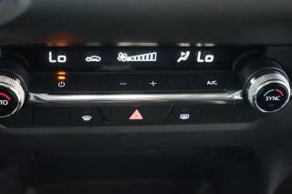 MAZDA CX-30 usata 40