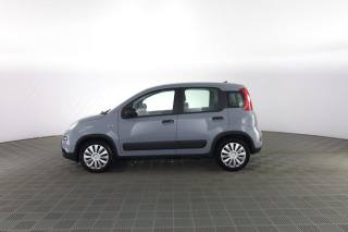 FIAT Panda usata 6