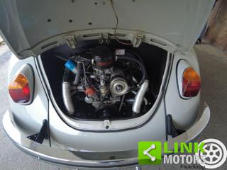 VOLKSWAGEN Maggiolino usata 16