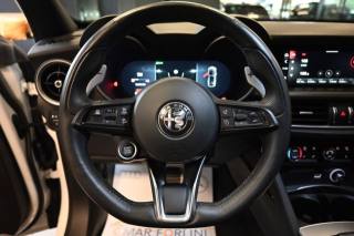 ALFA ROMEO Stelvio usata 47