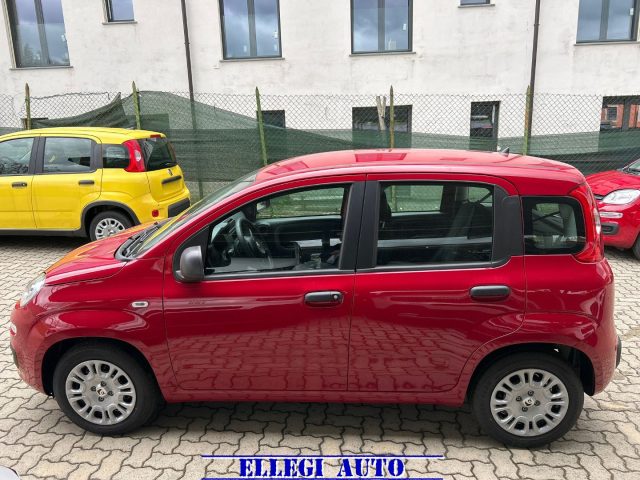 FIAT Panda usata, con Chiusura centralizzata