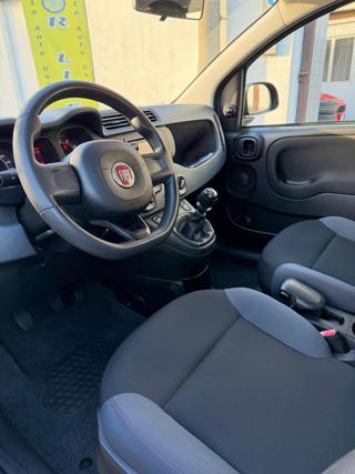 FIAT Panda usata, con Controllo trazione