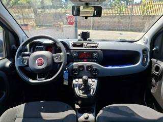 FIAT Panda usata 5