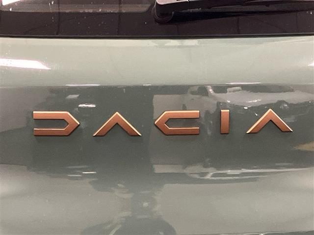 DACIA Spring usata 28