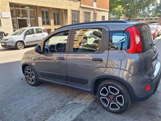 FIAT Panda usata, con Antifurto