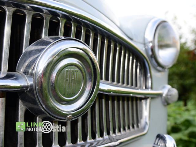 FIAT 1100 usata 15