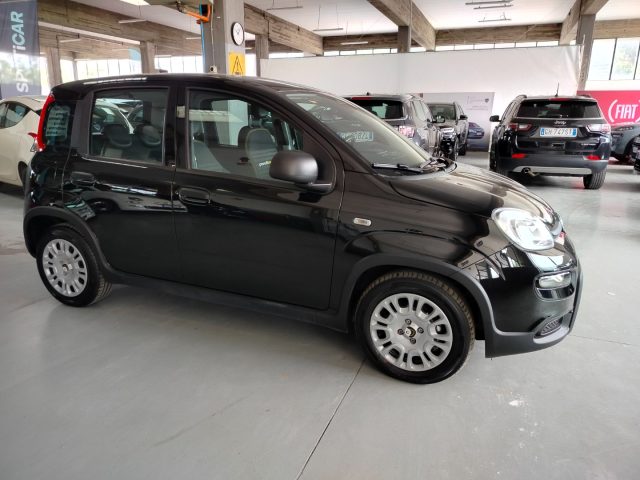 FIAT Panda usata, con Controllo trazione