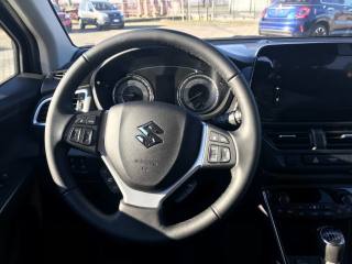 SUZUKI S-Cross usata, con Cruise Control