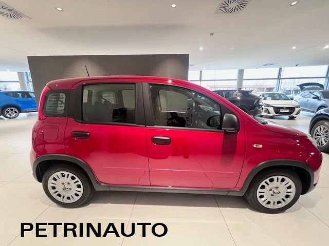 FIAT Panda usata, con Alzacristalli elettrici