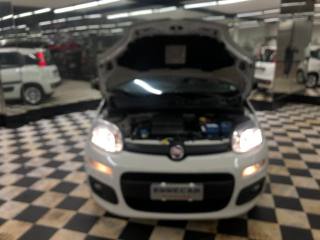 FIAT Panda usata 18