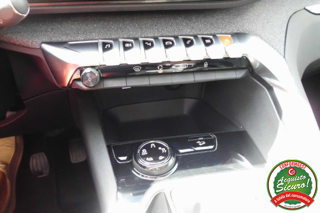 PEUGEOT 3008 usata, con USB