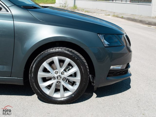 SKODA Octavia usata, con Bracciolo