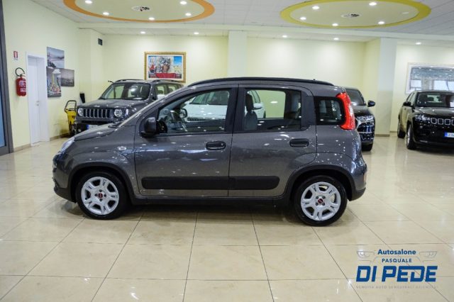 FIAT Panda usata, con Climatizzatore