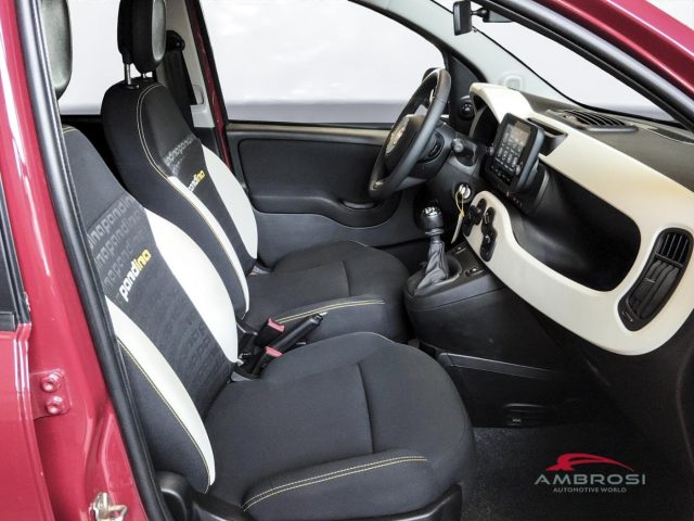 FIAT Panda usata 11
