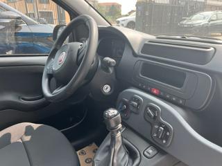 FIAT Panda usata, con Controllo trazione