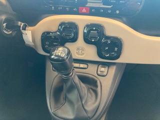 FIAT Panda usata, con ESP