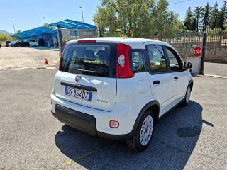 FIAT Panda usata 5