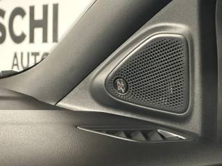 FORD Puma usata, con Controllo automatico clima