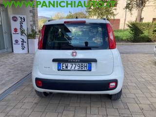 FIAT Panda usata, con Chiusura centralizzata