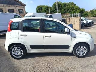 FIAT Panda usata 4