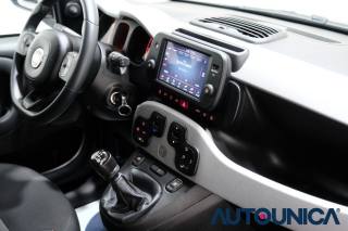 FIAT Panda usata 49