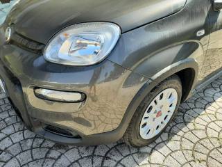FIAT Panda usata, con Controllo trazione