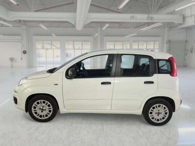FIAT Panda usata, con Airbag Passeggero