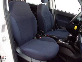 FIAT 500L usata, con Cronologia tagliandi