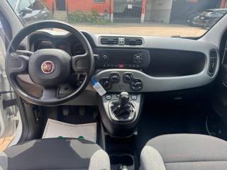FIAT Panda usata, con Controllo trazione