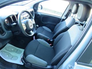 FIAT Panda usata, con Servosterzo