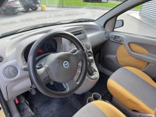 FIAT Panda usata, con Fendinebbia