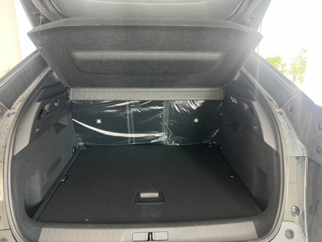 PEUGEOT 3008 usata, con Controllo vocale