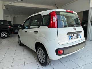 FIAT Panda usata, con Chiusura centralizzata