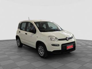 FIAT Panda usata 6